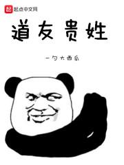 道友是什么?