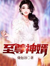 至尊神婿全文