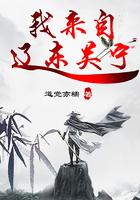 我来自辽东关宁TXT
