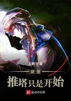 灵笼众筹推塔