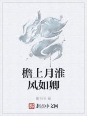 檐上落下的月表达什么