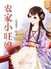 农家小媳妇全文阅读