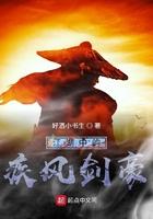 疾风剑豪意思