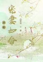 丞相宠妻日常全文阅读无弹窗