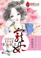嗜血鬼王的宠妃