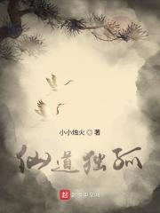 仙道独尊有没有第二部