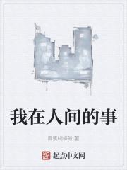 我在人间的故事