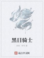 黑日骑士踢