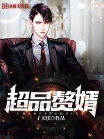 超品赘婿作者了无忧