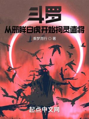穿越斗罗邪魂师