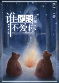 谁说我不爱你温景梵