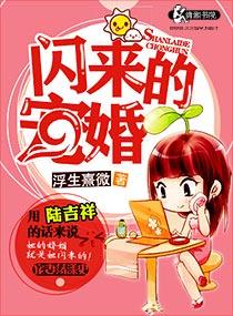 闪来的老公