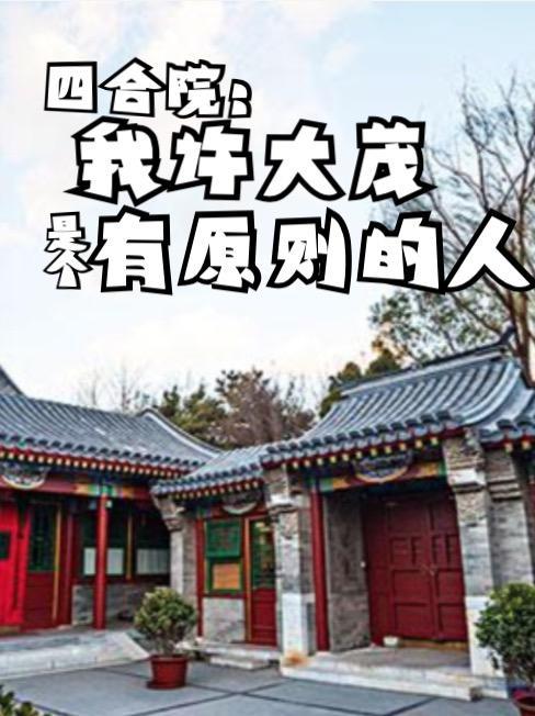 四合院许大茂黑化