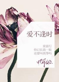 爱不逢时by宋时闻全文免费阅读