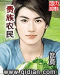 贵族农民TXT电子书