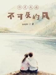 你是我遥不可及的你