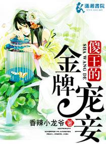 傻王的极品王妃