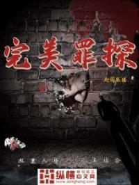 完美罪行剧情