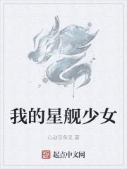 星舰设定