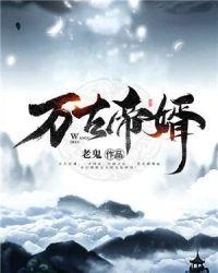 盖世帝婿叶尘