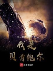 贝肯鲍尔帅