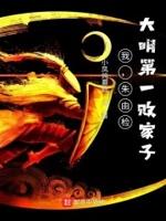 穿越大明王朝之我是朱由检