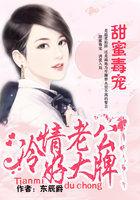 甜婚蜜爱冷傲夫君轻点宠