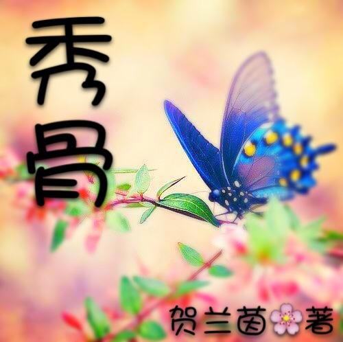秀骨贴治什么病