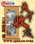 天下收藏王安乐
