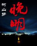 晚明张忠旗