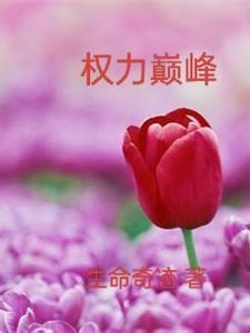 权力巅峰的人生百度百科