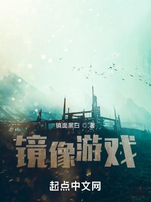 镜像小游戏