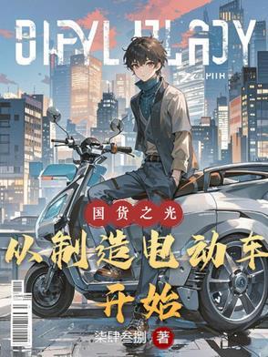 国产电动车技术如何