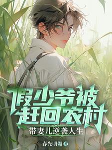 再也不当假少爷了谢昭