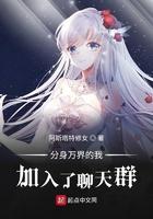 分身万界的我加入了聊天群作