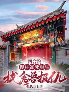 四合院叶天
