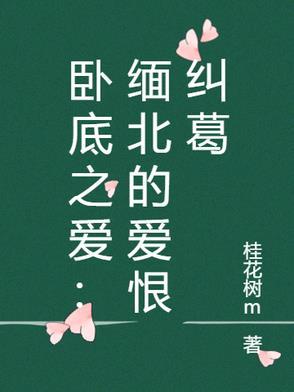 卧底之爱缅北的爱恨纠葛