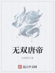 无双皇子唐