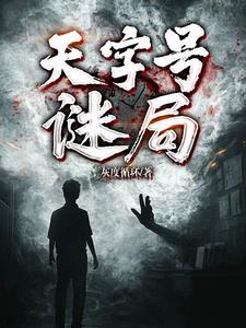 天字号特工电视剧剧情介绍