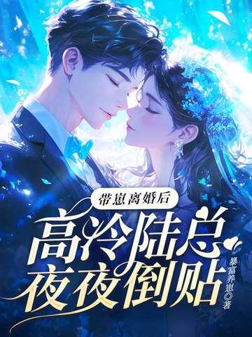 陆总带娃追妻