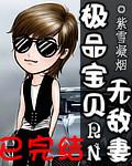 极品宝贝无敌妻免费观看