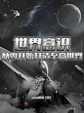 世界意志是什么意思