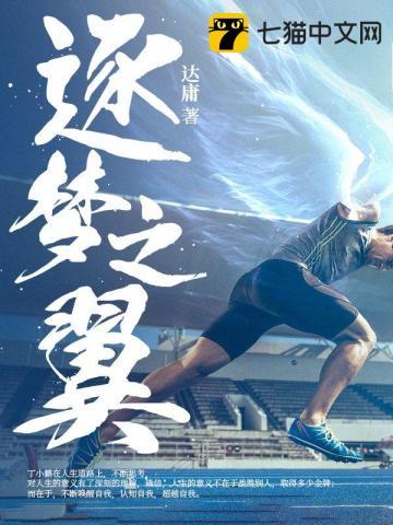 逐梦之翼皮肤