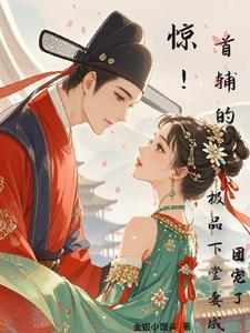 首辅的小娘子免费阅读