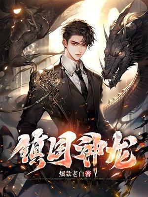 镇国神龙一口气看完