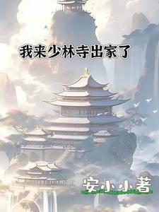 我来少林寺出家了吗