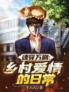 穿越乡村爱情的长篇