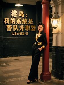 港警之综合系统