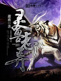 灵兽 动画片