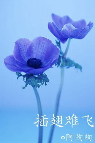插翅难飞之变脸电视剧